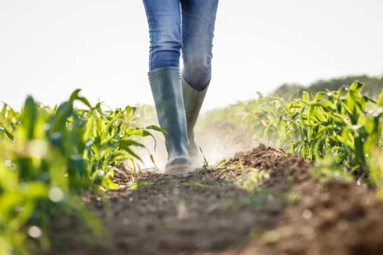 Drought on Farm